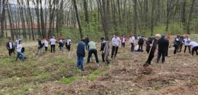Залесяване в Габрово, организирано от Техническия университет в Габрово